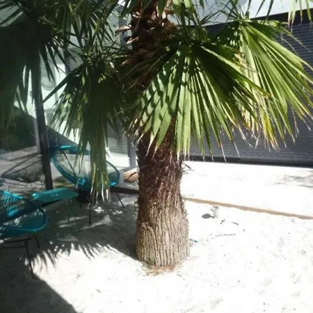 House Abatilles Avec Piscine * Arcachon